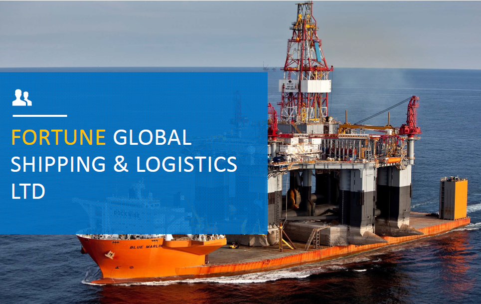 FORTUNE GLOBAL & SHIPPING LOGISTICS LTD
